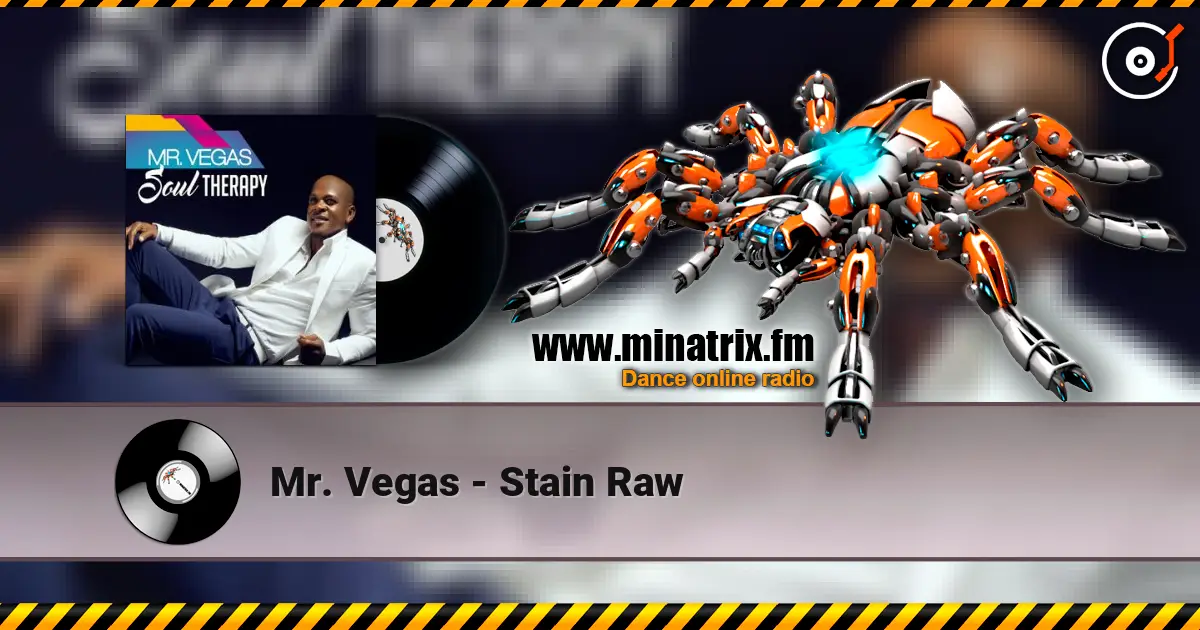 Mr. Vegas - Stain Raw 高品质在线收听 | Minatrix.FM