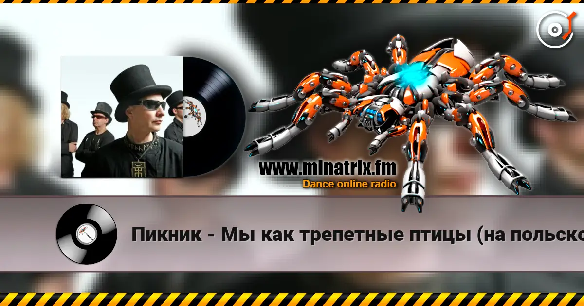 Пикник - Мы как трепетные птицы (на польском языке) 高品质在线收听 | Minatrix.FM