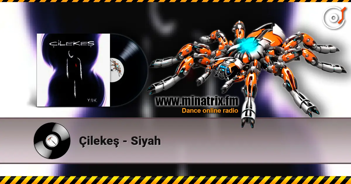 Çilekeş - Siyah 高品质在线收听 | Minatrix.FM