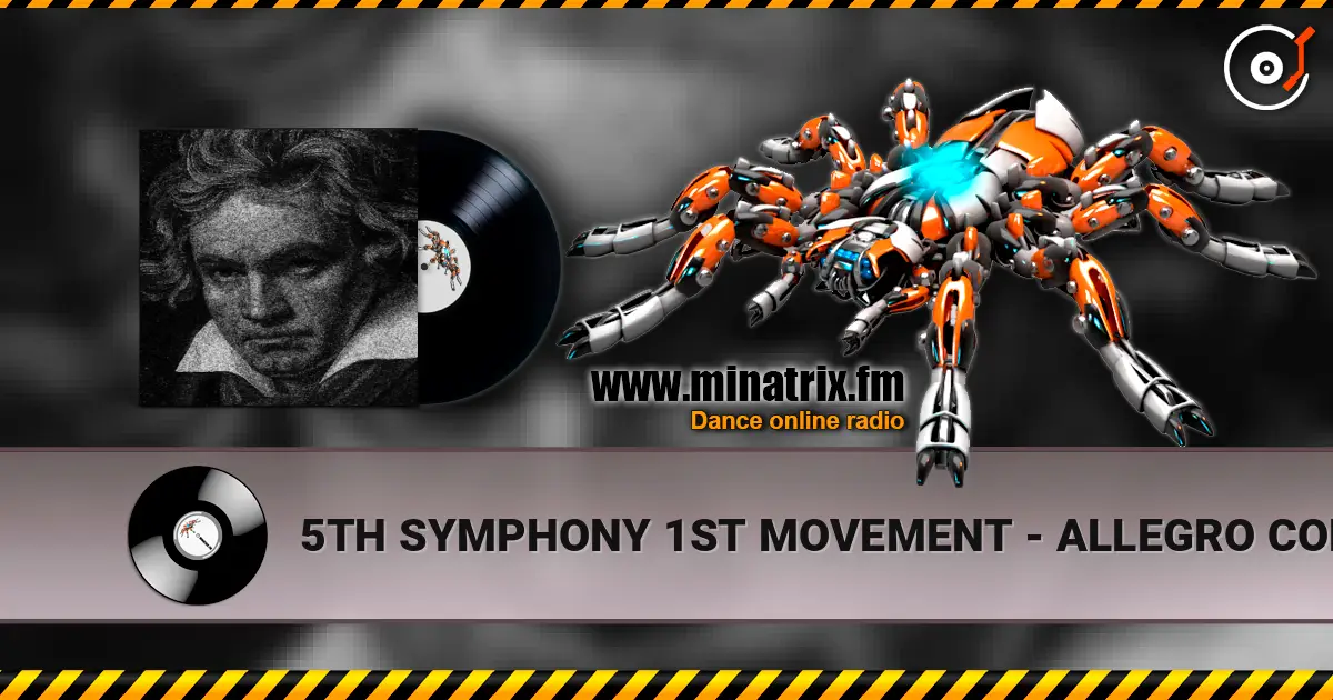5TH SYMPHONY 1ST MOVEMENT - ALLEGRO CON BRIO 高品质在线收听 | Minatrix.FM