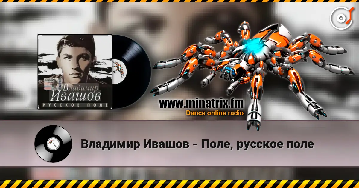 Владимир Ивашов - Поле, русское поле 高品质在线收听 | Minatrix.FM