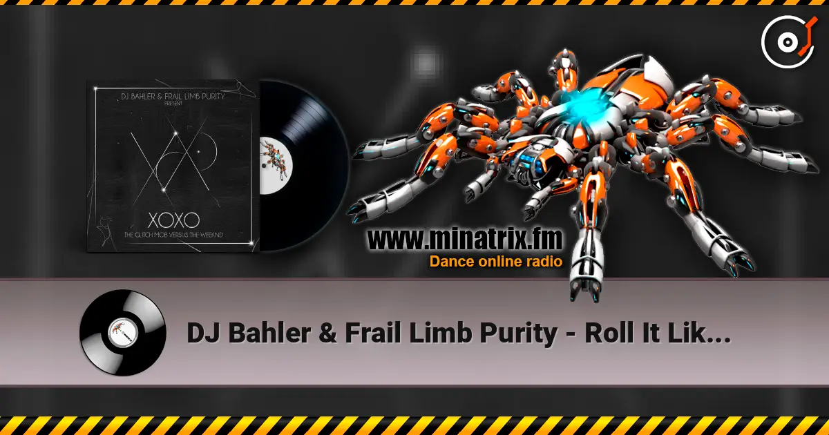 DJ Bahler & Frail Limb Purity - Roll It Like You Stole It 高品质在线收听 | Minatrix.FM