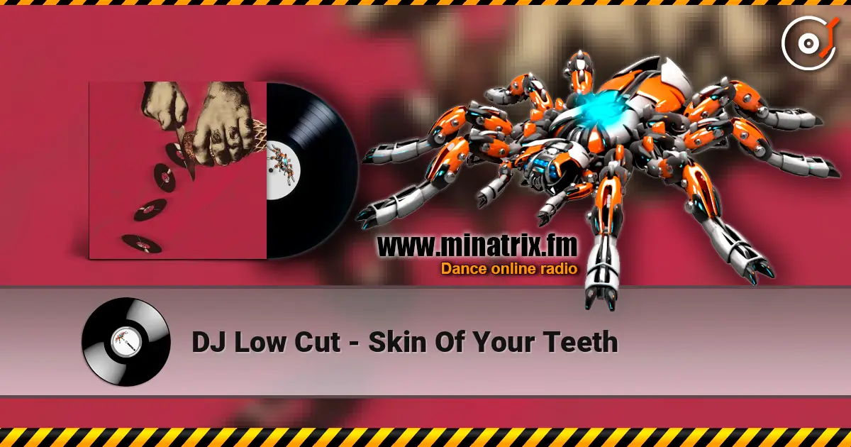 DJ Low Cut - Skin Of Your Teeth 高品质在线收听 | Minatrix.FM