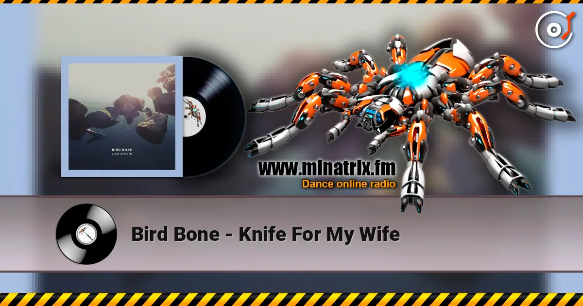 Bird Bone - Knife For My Wife 高品质在线收听 | Minatrix.FM