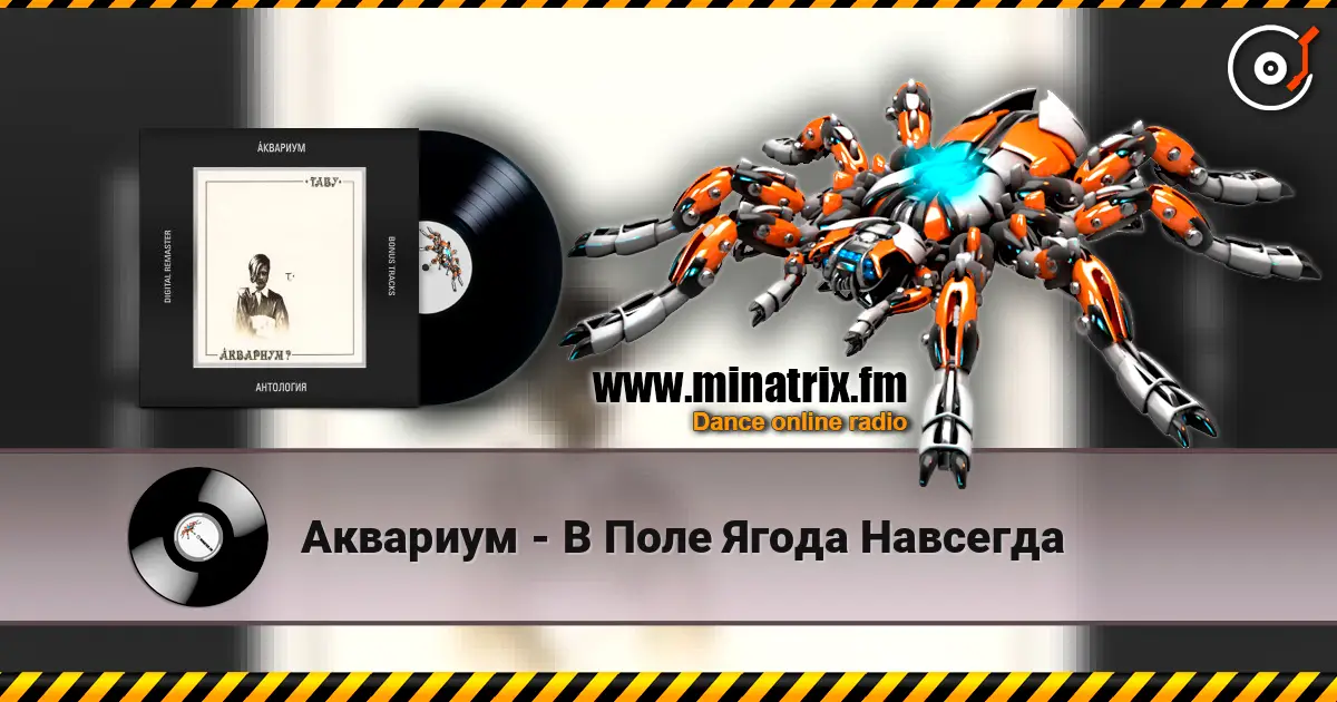 Аквариум - В Поле Ягода Навсегда 高品质在线收听 | Minatrix.FM