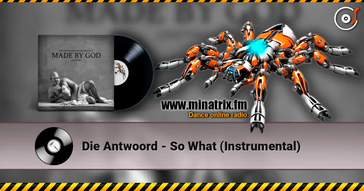 Die Antwoord - So What (Instrumental) 高品质在线收听 | Minatrix.FM