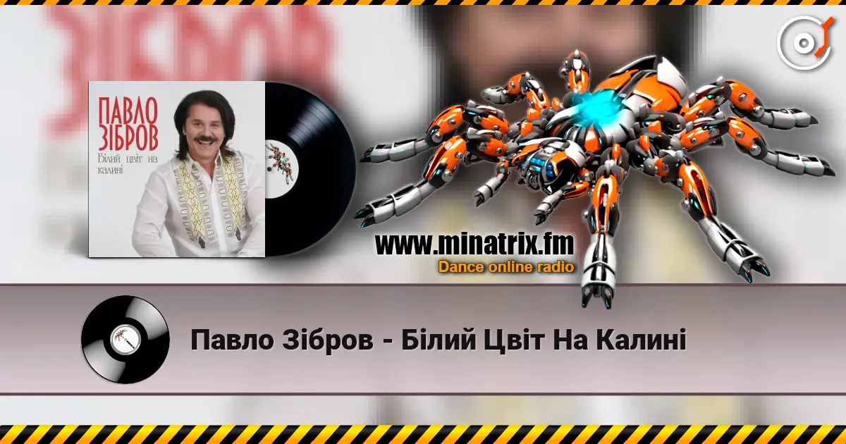 Павло Зібров - Білий Цвіт На Калині 高品质在线收听 | Minatrix.FM