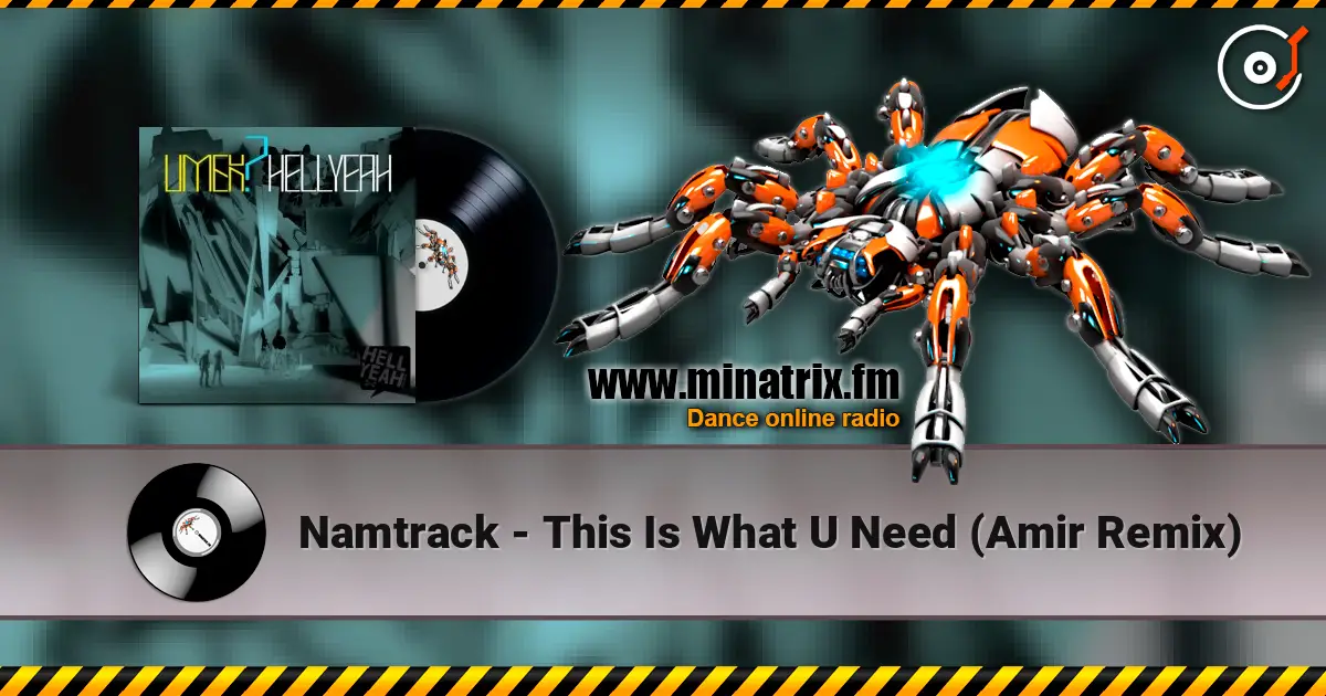 Namtrack - This Is What U Need (Amir Remix) 高品质在线收听 | Minatrix.FM