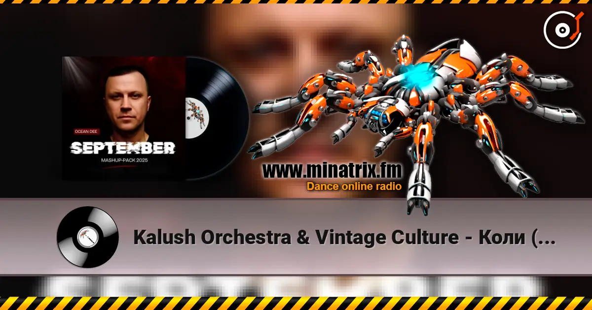 Kalush Orchestra & Vintage Culture - Коли (Ocean Dee Edit) 高品质在线收听 | Minatrix.FM