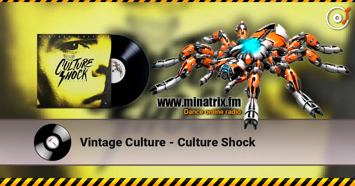Vintage Culture - Culture Shock 高品质在线收听 | Minatrix.FM