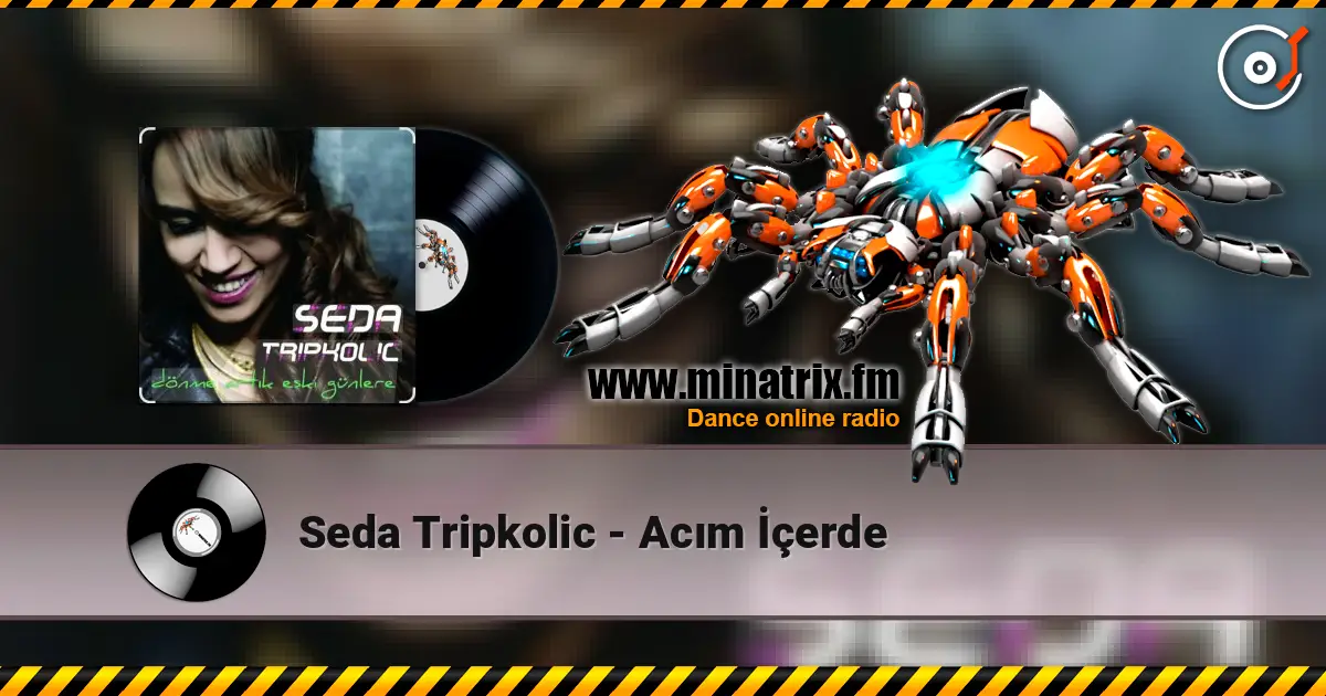 Seda Tripkolic - Acım İçerde 高品质在线收听 | Minatrix.FM