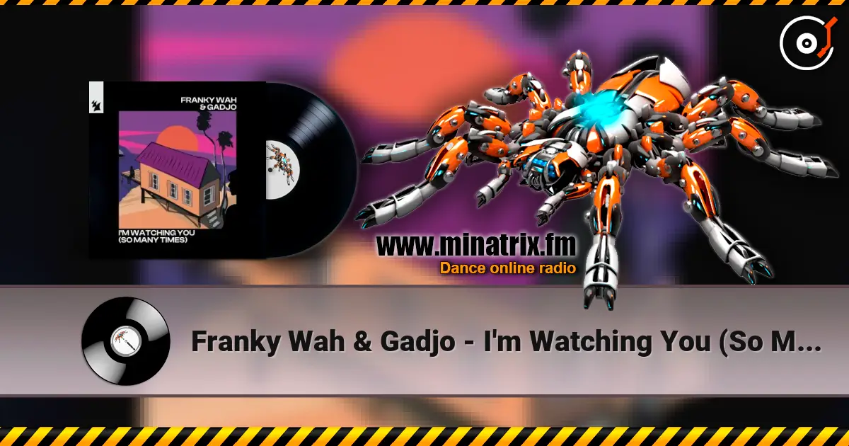 Franky Wah & Gadjo - I'm Watching You (So Many Times) 高品质在线收听 | Minatrix.FM