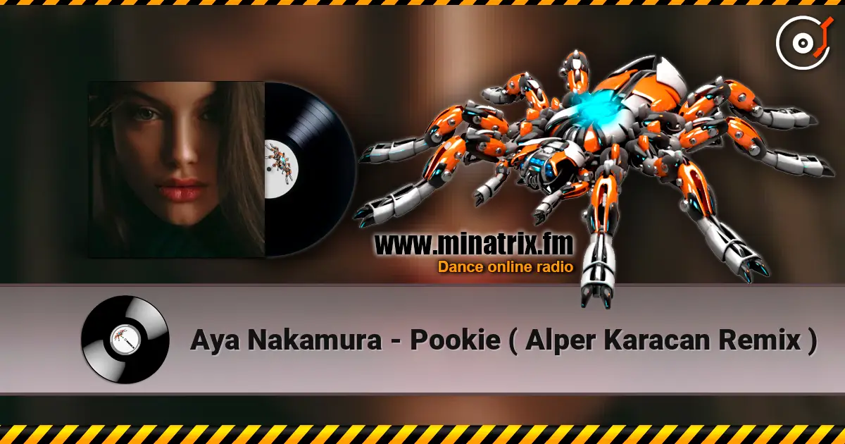 Aya Nakamura - Pookie ( Alper Karacan Remix ) 高品质在线收听 | Minatrix.FM