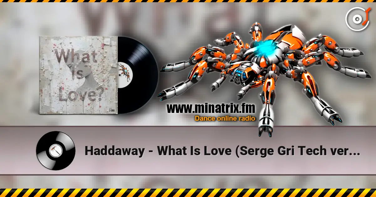 Haddaway - What Is Love (Serge Gri Tech ver cover) 高品质在线收听 | Minatrix.FM