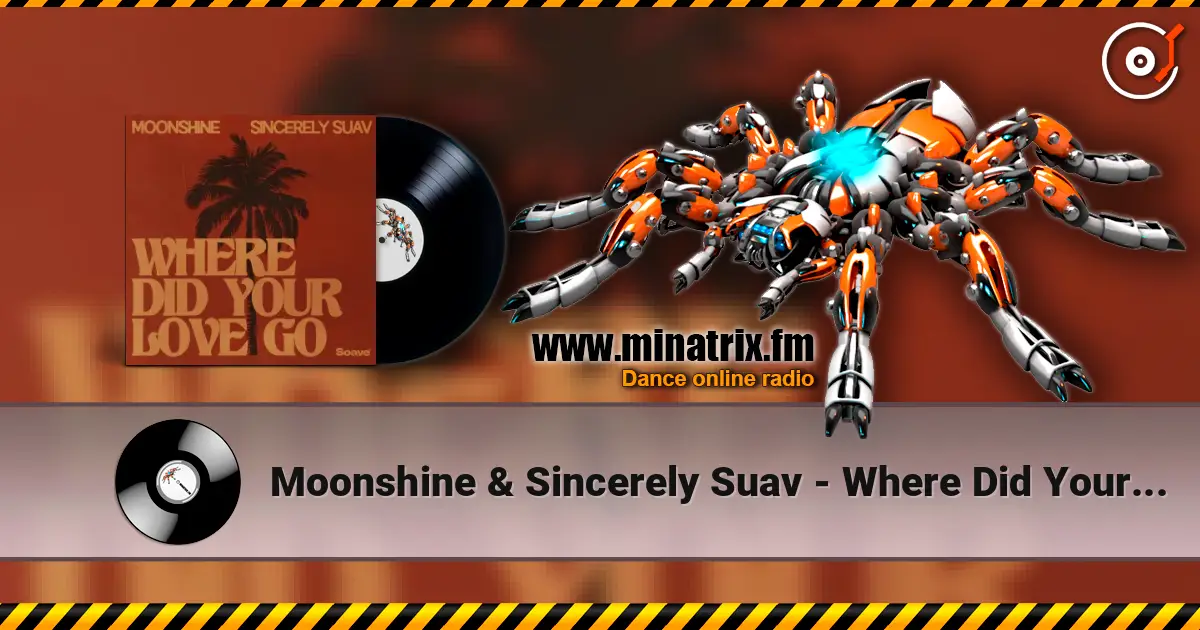 Moonshine & Sincerely Suav - Where Did Your Love Go 高品质在线收听 | Minatrix.FM