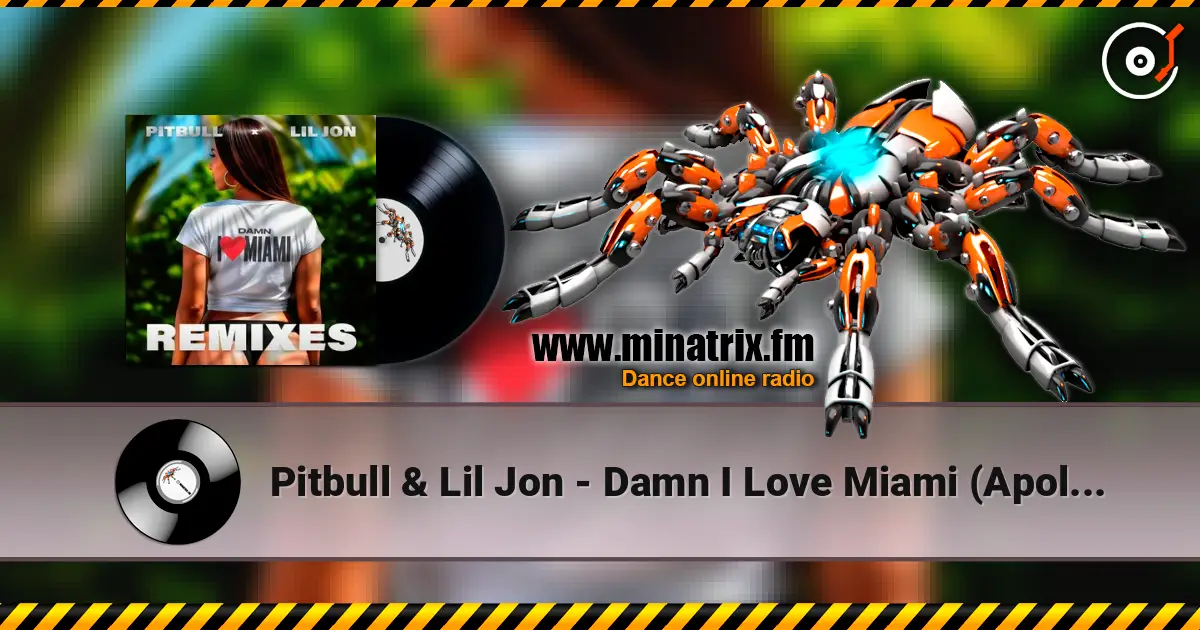 Pitbull & Lil Jon - Damn I Love Miami (Apollo XO Remix) 高品质在线收听 | Minatrix.FM