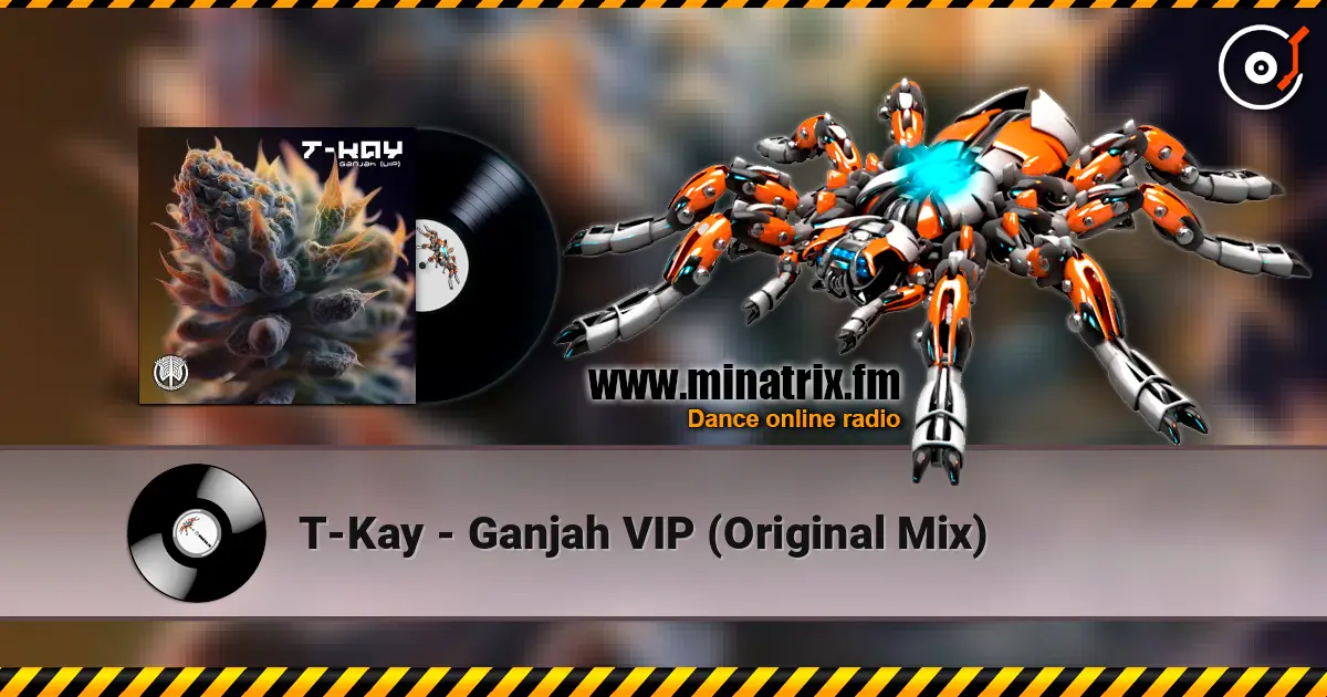 T-Kay - Ganjah VIP (Original Mix) 高品质在线收听 | Minatrix.FM