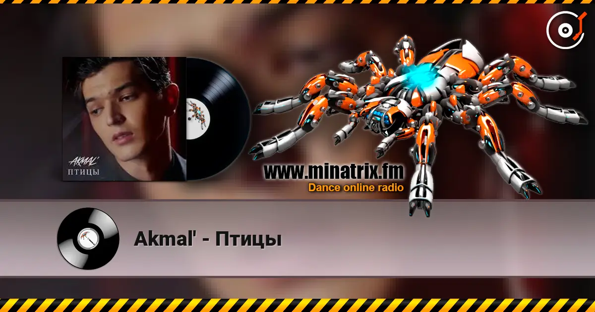 Akmal' - Птицы 高品质在线收听 | Minatrix.FM