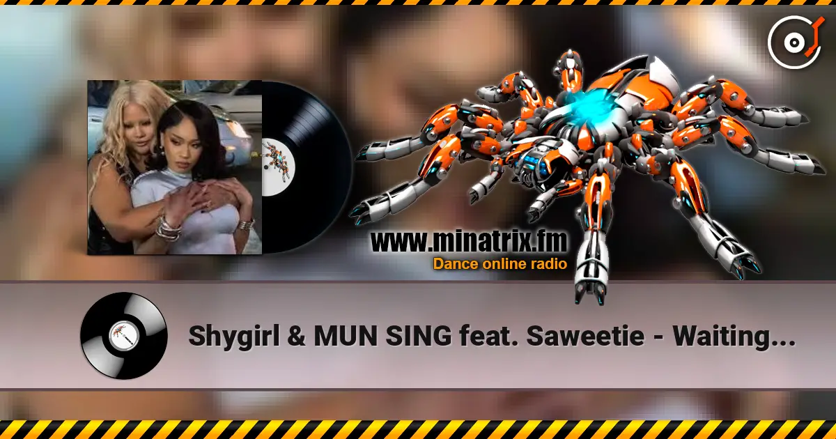 Shygirl & MUN SING feat. Saweetie - Waiting in the Car 高品质在线收听 | Minatrix.FM