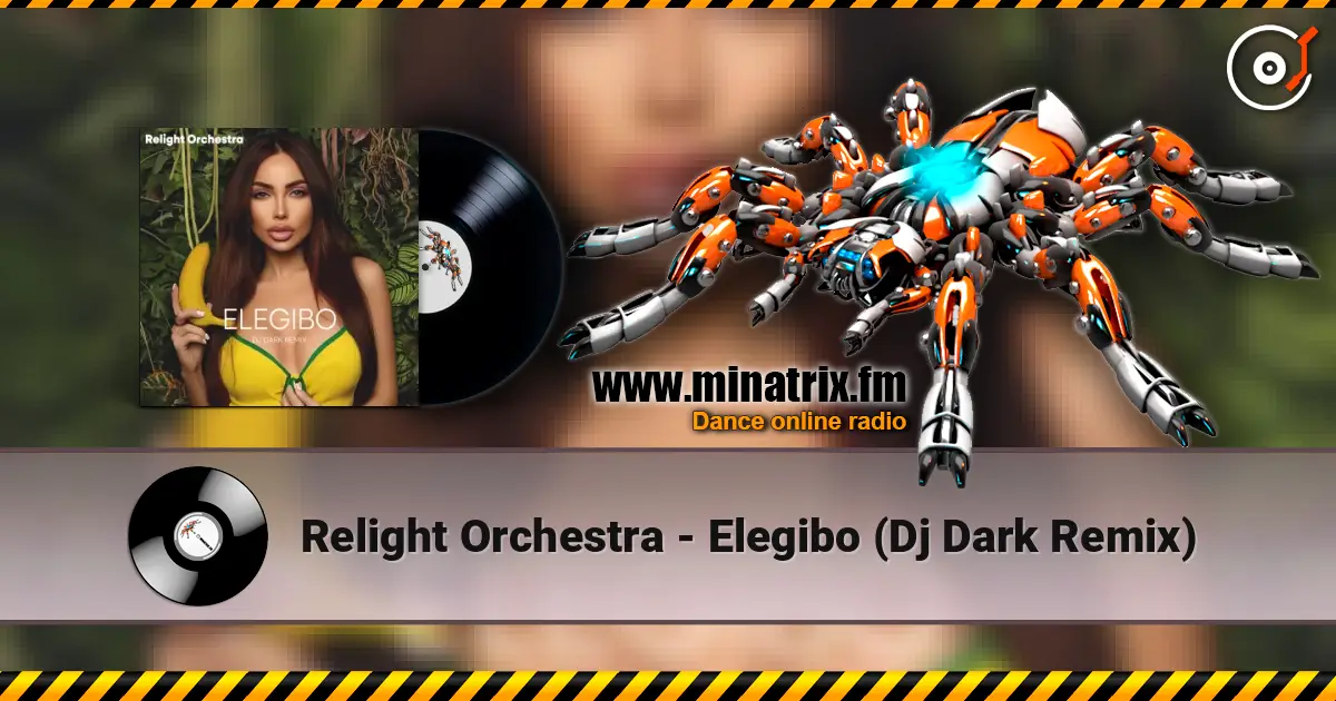 Relight Orchestra - Elegibo (Dj Dark Remix) 高品质在线收听 | Minatrix.FM