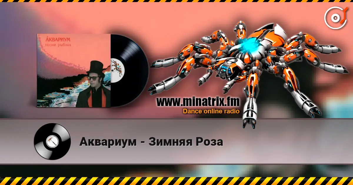Аквариум - Зимняя Роза 高品质在线收听 | Minatrix.FM