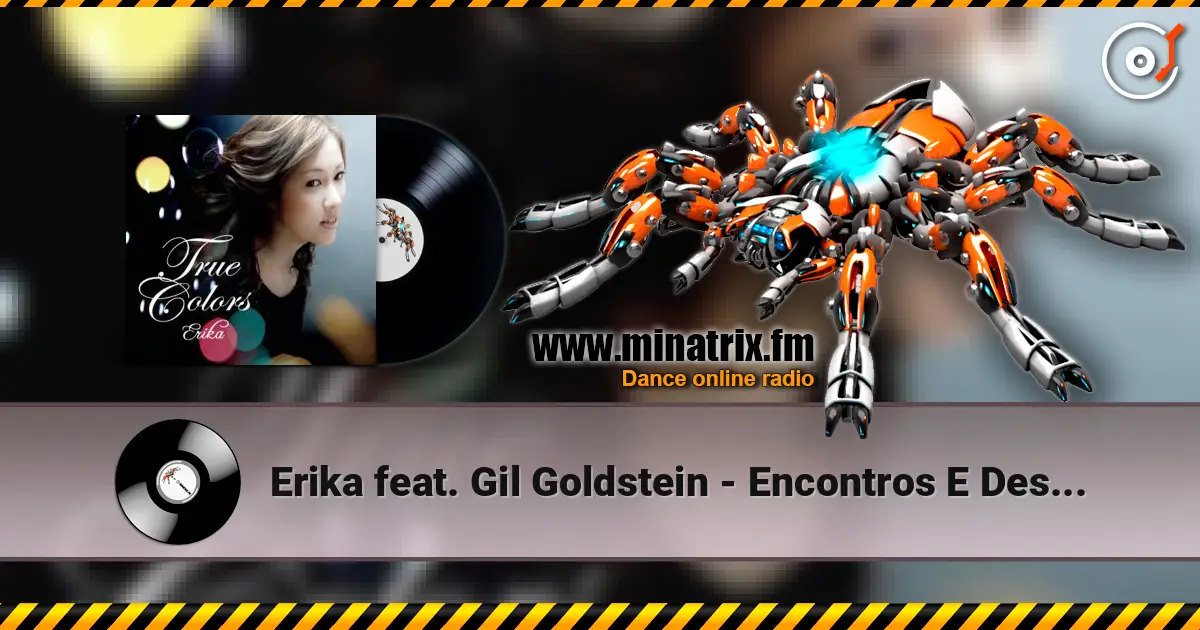 Erika feat. Gil Goldstein - Encontros E Despedidas 高品质在线收听 | Minatrix.FM