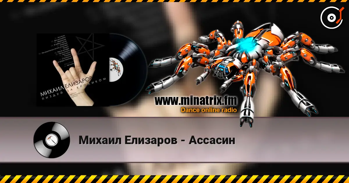 Михаил Елизаров - Ассасин 高品质在线收听 | Minatrix.FM