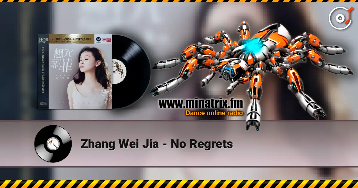 Zhang Wei Jia - No Regrets 高品质在线收听 | Minatrix.FM