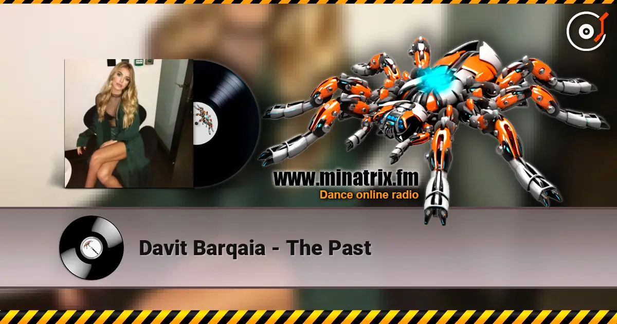 Davit Barqaia - The Past 高品质在线收听 | Minatrix.FM