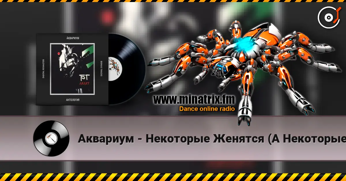 Аквариум - Некоторые Женятся (А Некоторые - Так) 高品质在线收听 | Minatrix.FM