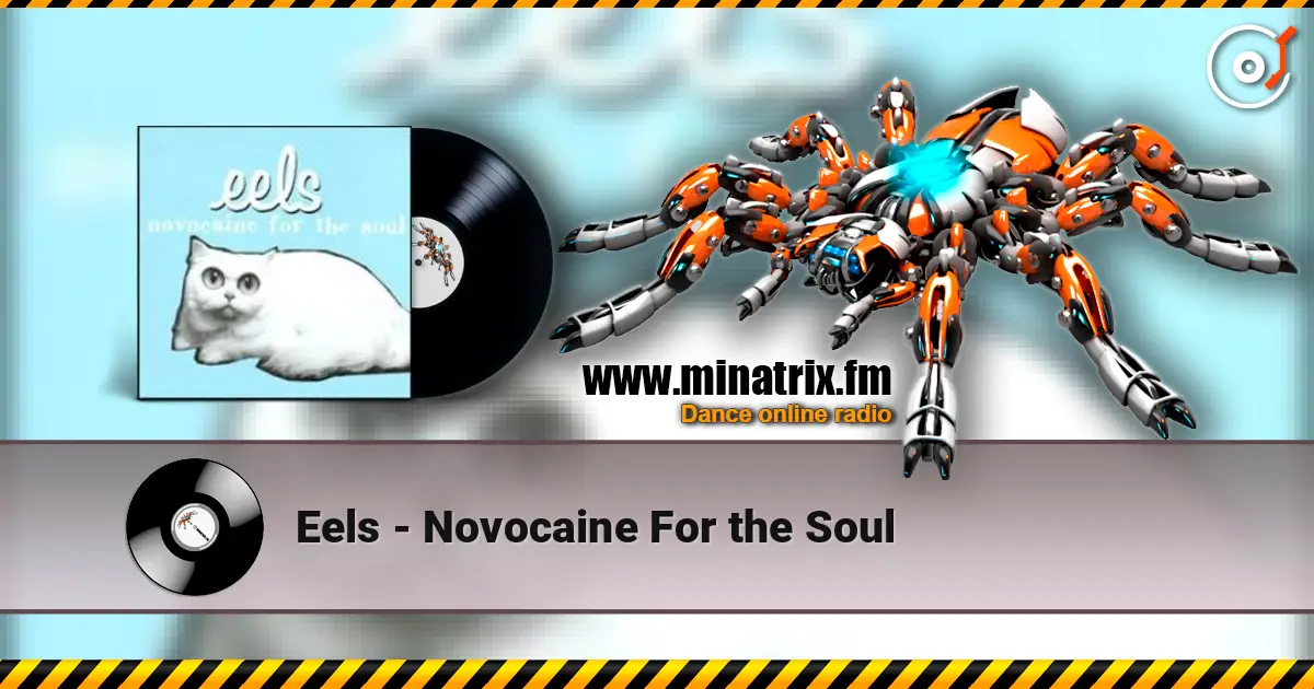 Eels - Novocaine For the Soul 高品质在线收听 | Minatrix.FM
