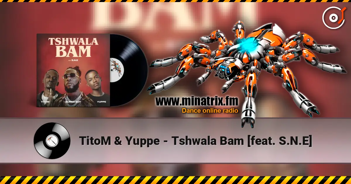 TitoM & Yuppe - Tshwala Bam [feat. S.N.E] 高品质在线收听 | Minatrix.FM