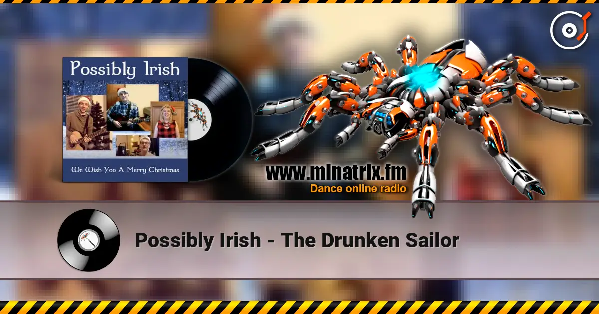 Possibly Irish - The Drunken Sailor 高品质在线收听 | Minatrix.FM