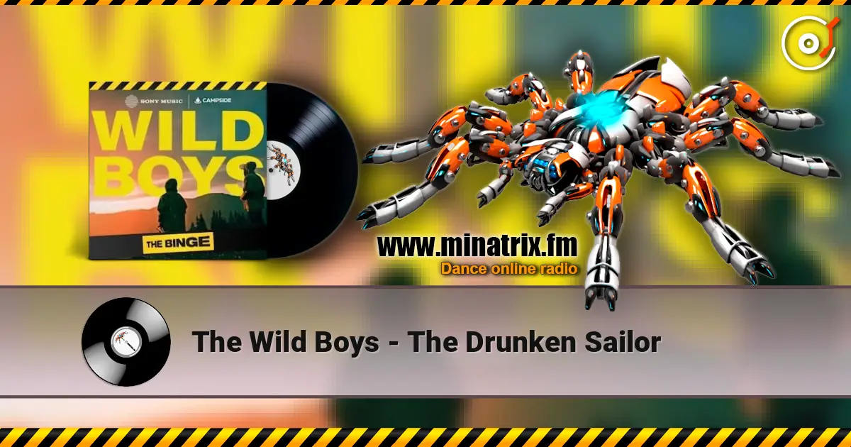 The Wild Boys - The Drunken Sailor 高品质在线收听 | Minatrix.FM