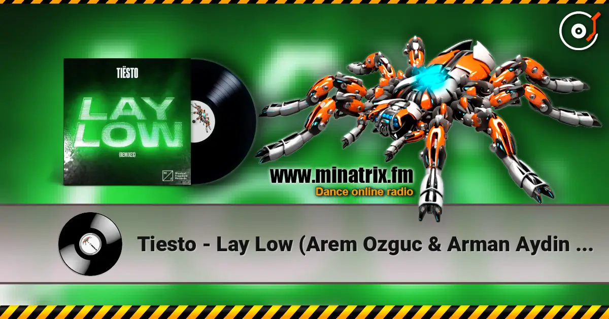 Tiesto - Lay Low (Arem Ozguc & Arman Aydin Remix) 高品质在线收听 | Minatrix.FM