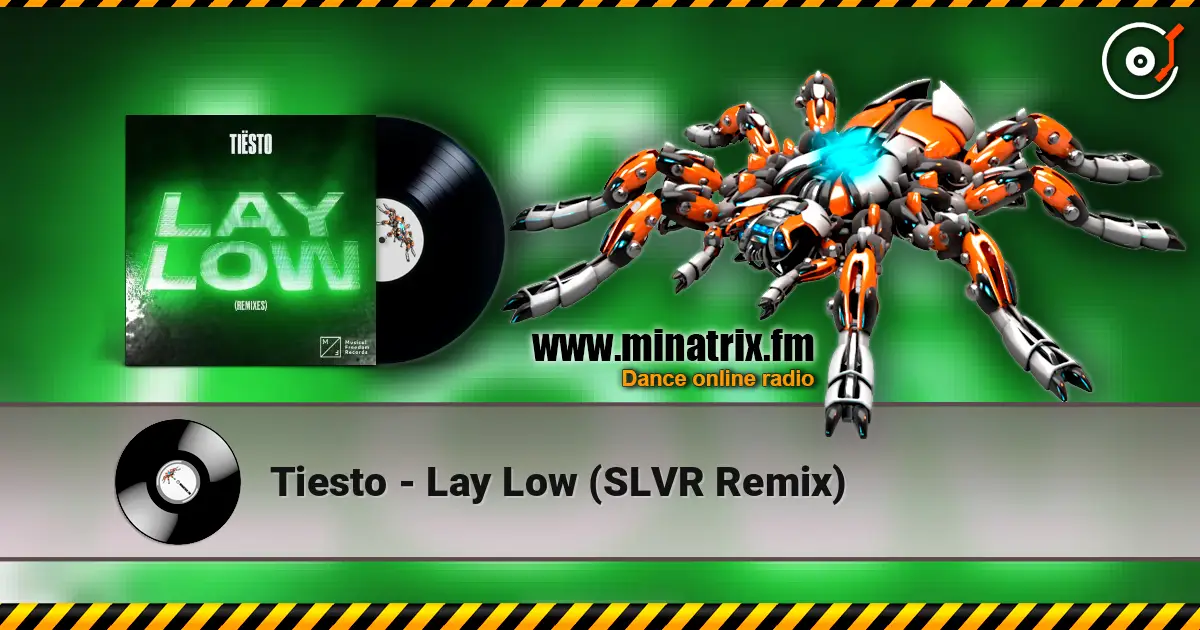 Tiesto - Lay Low (SLVR Remix) 高品质在线收听 | Minatrix.FM