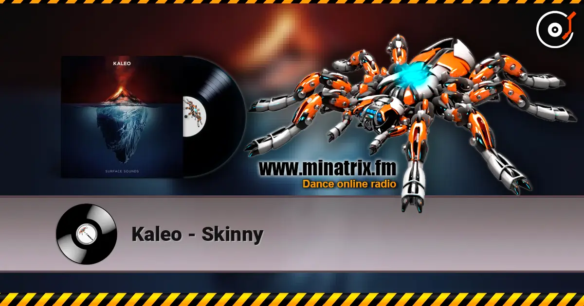 Kaleo - Skinny 高品质在线收听 | Minatrix.FM