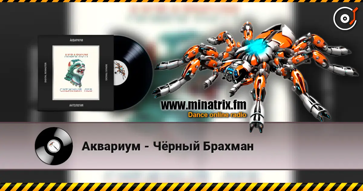 Аквариум - Чёрный Брахман 高品质在线收听 | Minatrix.FM