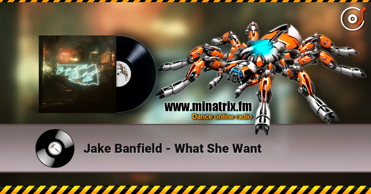 Jake Banfield - What She Want 高品质在线收听 | Minatrix.FM