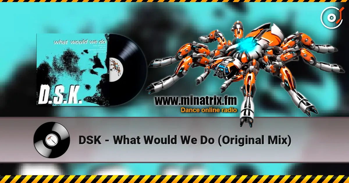 DSK - What Would We Do (Original Mix) 高品质在线收听 | Minatrix.FM