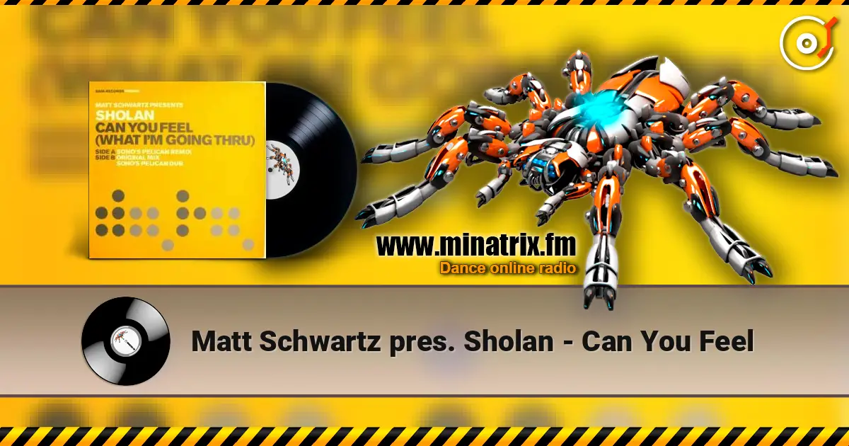 Matt Schwartz pres. Sholan - Can You Feel 高品质在线收听 | Minatrix.FM