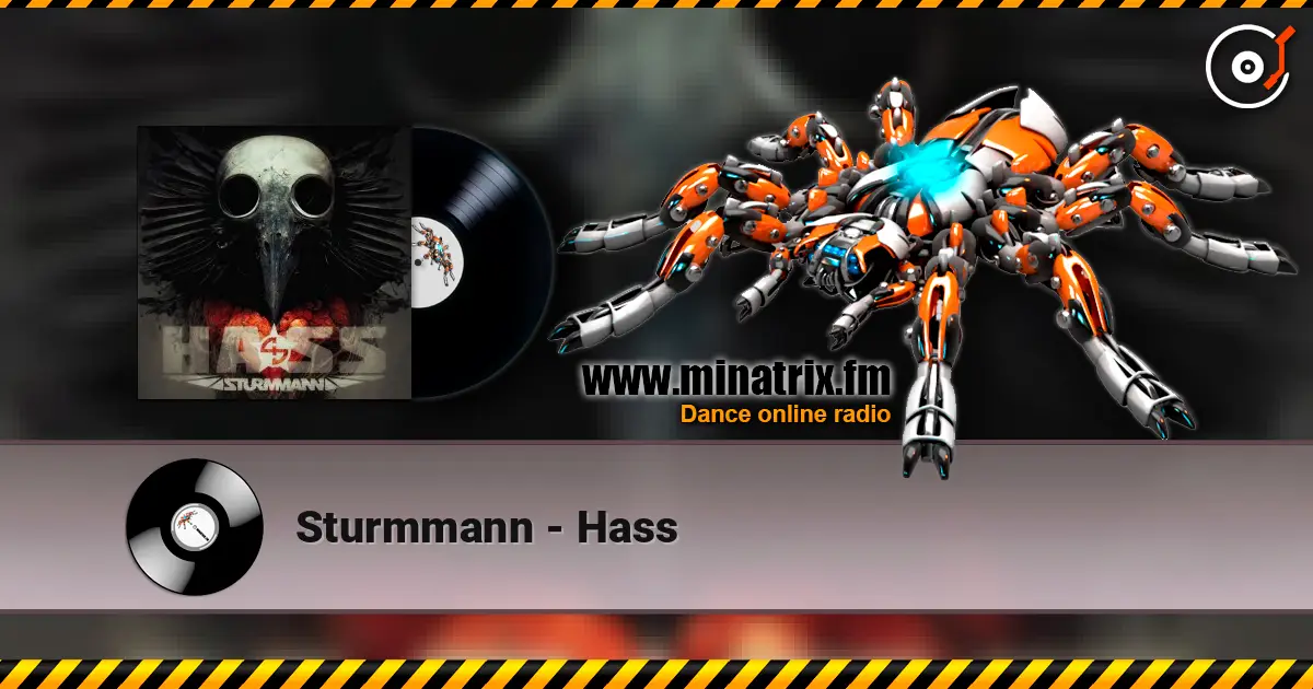 Sturmmann - Hass 高品质在线收听 | Minatrix.FM