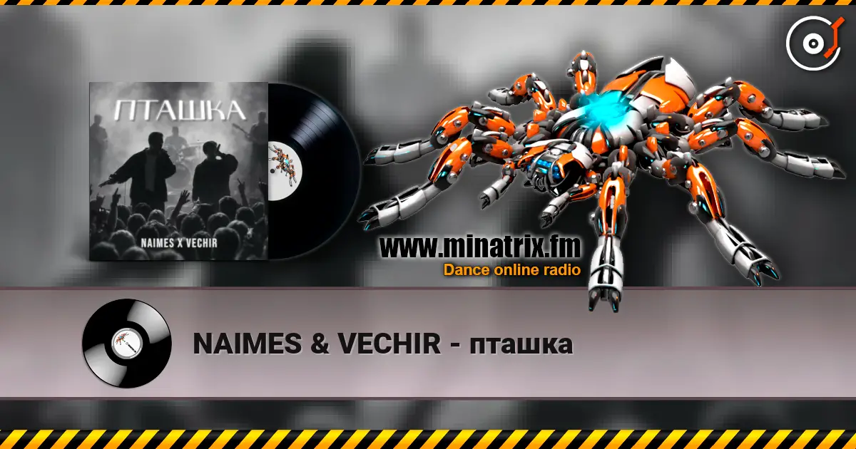 NAIMES & VECHIR - пташка 高品质在线收听 | Minatrix.FM