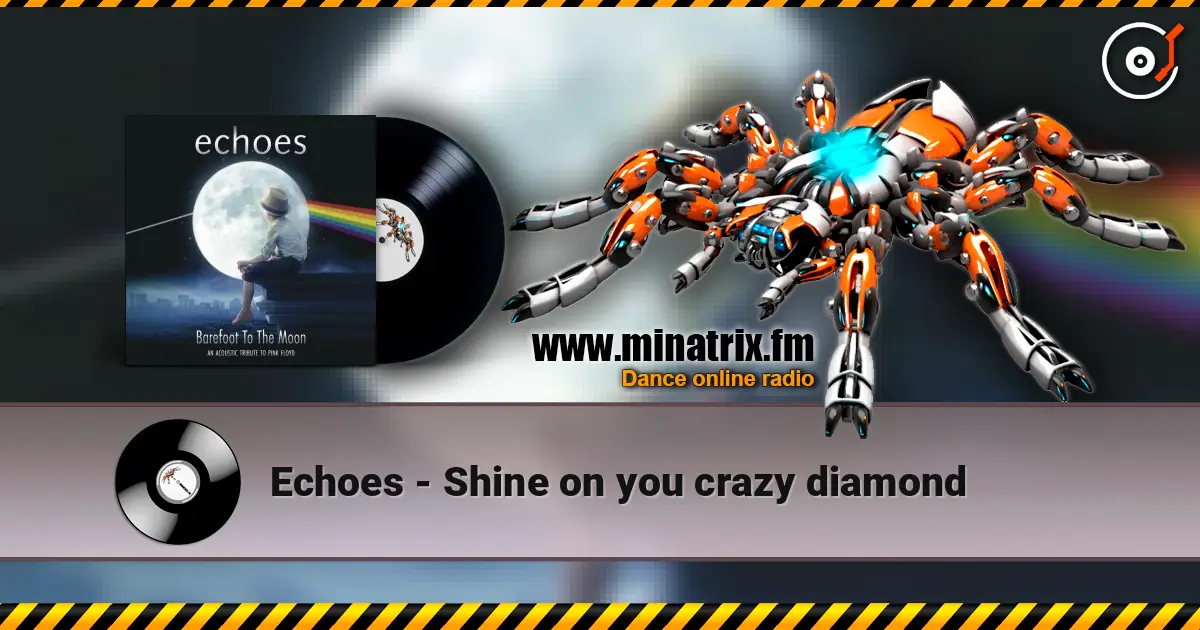 Echoes - Shine on you crazy diamond 高品质在线收听 | Minatrix.FM