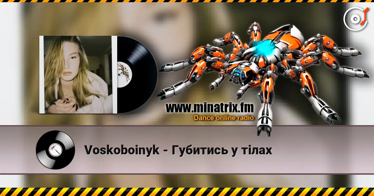 Voskoboinyk - Губитись у тілах 高品质在线收听 | Minatrix.FM