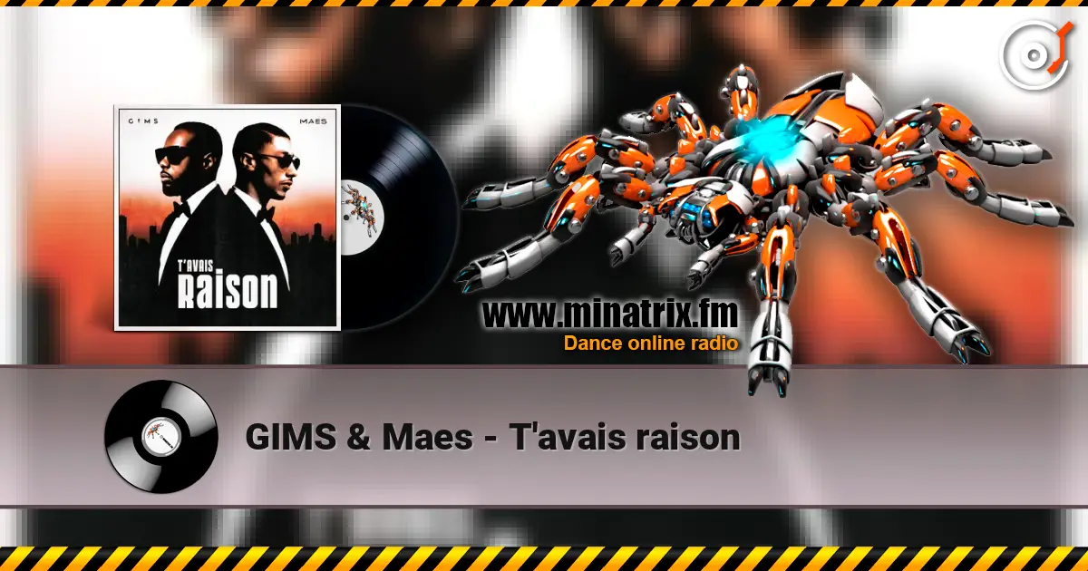 GIMS & Maes - T'avais raison 高品质在线收听 | Minatrix.FM