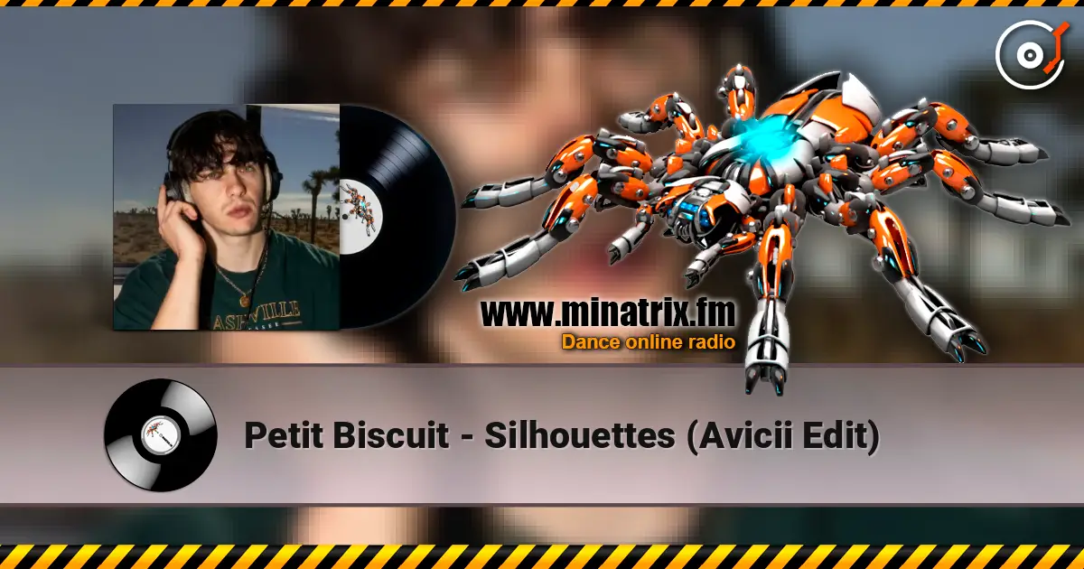 Petit Biscuit - Silhouettes (Avicii Edit) 高品质在线收听 | Minatrix.FM