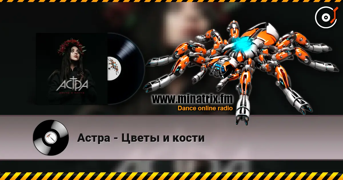 Астра - Цветы и кости 高品质在线收听 | Minatrix.FM