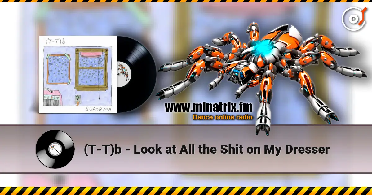 (T-T)b - Look at All the Shit on My Dresser 高品质在线收听 | Minatrix.FM