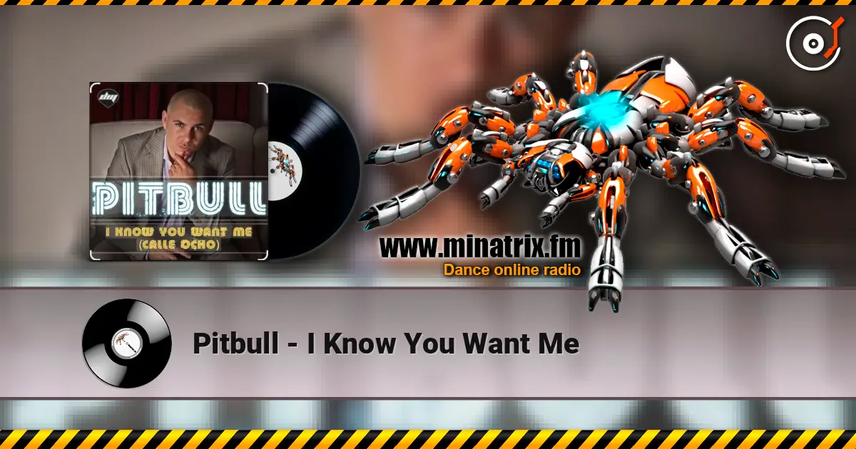 Pitbull - I Know You Want Me 高品质在线收听 | Minatrix.FM